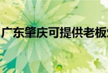 廣東肇慶可提供老板燃?xì)庠罹S修服務(wù)地址在哪