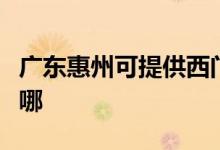 廣東惠州可提供西門子燃?xì)庠罹S修服務(wù)地址在哪