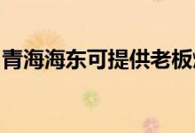 青海海東可提供老板燃?xì)庠罹S修服務(wù)地址在哪