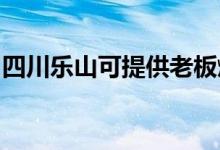 四川樂山可提供老板燃?xì)庠罹S修服務(wù)地址在哪