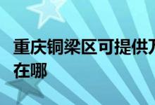 重慶銅梁區(qū)可提供萬家樂燃?xì)庠罹S修服務(wù)地址在哪