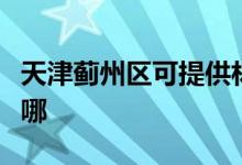 天津薊州區(qū)可提供林內(nèi)燃氣灶維修服務地址在哪