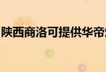 陜西商洛可提供華帝燃?xì)庠罹S修服務(wù)地址在哪