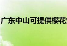 廣東中山可提供櫻花燃氣灶維修服務(wù)地址在哪