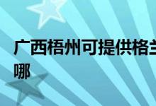 廣西梧州可提供格蘭仕燃?xì)庠罹S修服務(wù)地址在哪