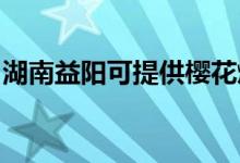 湖南益陽可提供櫻花燃氣灶維修服務(wù)地址在哪