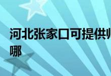 河北張家口可提供帥康燃?xì)庠罹S修服務(wù)地址在哪
