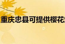 重慶忠縣可提供櫻花燃氣灶維修服務(wù)地址在哪