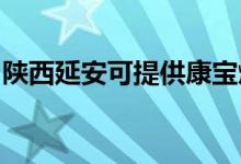 陜西延安可提供康寶燃?xì)庠罹S修服務(wù)地址在哪