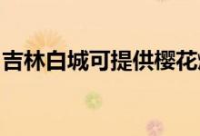 吉林白城可提供櫻花燃氣灶維修服務(wù)地址在哪