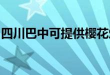 四川巴中可提供櫻花燃氣灶維修服務(wù)地址在哪