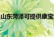 山東菏澤可提供康寶燃?xì)庠罹S修服務(wù)地址在哪