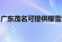 廣東茂名可提供櫻雪燃?xì)庠罹S修服務(wù)地址在哪