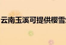 云南玉溪可提供櫻雪燃?xì)庠罹S修服務(wù)地址在哪