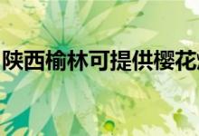 陜西榆林可提供櫻花燃氣灶維修服務(wù)地址在哪