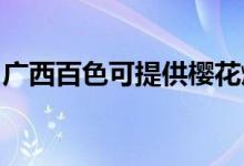 廣西百色可提供櫻花燃氣灶維修服務(wù)地址在哪