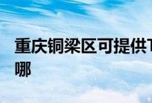 重慶銅梁區(qū)可提供TCL燃氣灶維修服務(wù)地址在哪
