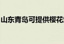 山東青島可提供櫻花燃氣灶維修服務(wù)地址在哪