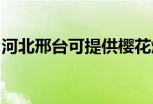 河北邢臺可提供櫻花燃氣灶維修服務(wù)地址在哪