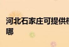 河北石家莊可提供櫻雪燃?xì)庠罹S修服務(wù)地址在哪