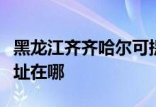 黑龍江齊齊哈爾可提供康寶燃?xì)庠罹S修服務(wù)地址在哪