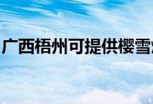 廣西梧州可提供櫻雪燃?xì)庠罹S修服務(wù)地址在哪
