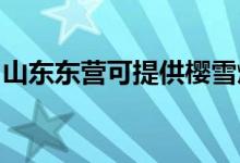 山東東營可提供櫻雪燃?xì)庠罹S修服務(wù)地址在哪