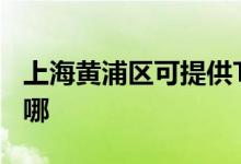 上海黃浦區(qū)可提供TCL燃?xì)庠罹S修服務(wù)地址在哪