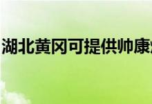 湖北黃岡可提供帥康燃?xì)庠罹S修服務(wù)地址在哪