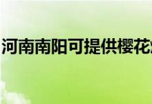 河南南陽可提供櫻花燃氣灶維修服務(wù)地址在哪
