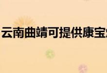 云南曲靖可提供康寶燃?xì)庠罹S修服務(wù)地址在哪