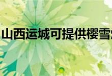山西運城可提供櫻雪燃?xì)庠罹S修服務(wù)地址在哪