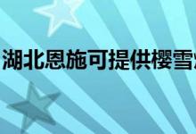 湖北恩施可提供櫻雪燃?xì)庠罹S修服務(wù)地址在哪