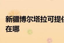 新疆博爾塔拉可提供康寶燃?xì)庠罹S修服務(wù)地址在哪
