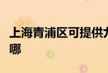 上海青浦區(qū)可提供九陽燃?xì)庠罹S修服務(wù)地址在哪