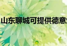 山東聊城可提供德意燃氣灶維修服務地址在哪