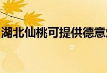 湖北仙桃可提供德意燃氣灶維修服務地址在哪