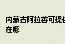 內(nèi)蒙古阿拉善可提供志邦燃氣灶維修服務(wù)地址在哪