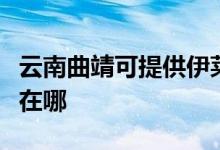 云南曲靖可提供伊萊克斯燃?xì)庠罹S修服務(wù)地址在哪