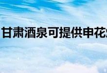 甘肅酒泉可提供申花燃?xì)庠罹S修服務(wù)地址在哪