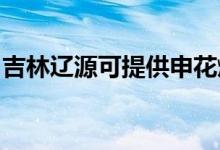 吉林遼源可提供申花燃?xì)庠罹S修服務(wù)地址在哪