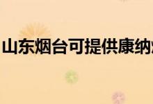 山東煙臺可提供康納燃氣灶維修服務(wù)地址在哪