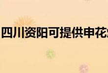 四川資陽(yáng)可提供申花燃?xì)庠罹S修服務(wù)地址在哪