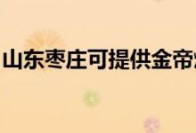 山東棗莊可提供金帝燃氣灶維修服務(wù)地址在哪