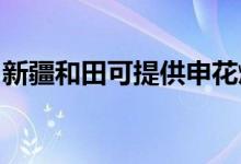 新疆和田可提供申花燃?xì)庠罹S修服務(wù)地址在哪