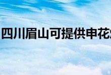四川眉山可提供申花燃?xì)庠罹S修服務(wù)地址在哪