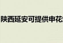 陜西延安可提供申花燃?xì)庠罹S修服務(wù)地址在哪