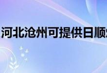 河北滄州可提供日順燃氣灶維修服務(wù)地址在哪
