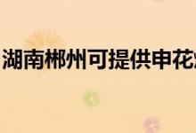 湖南郴州可提供申花燃?xì)庠罹S修服務(wù)地址在哪