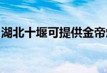 湖北十堰可提供金帝燃氣灶維修服務(wù)地址在哪